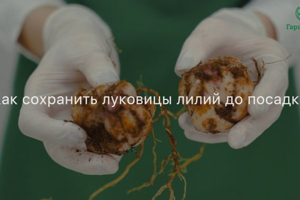 Кракен стор