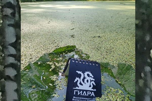 Кракен нов