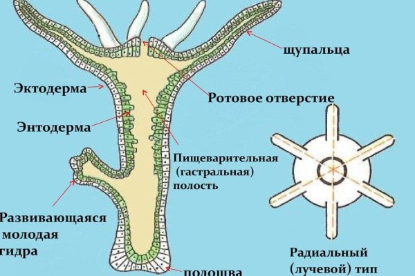Кракен маркет даркнет тор