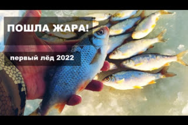 Настоящая ссылка на кракен