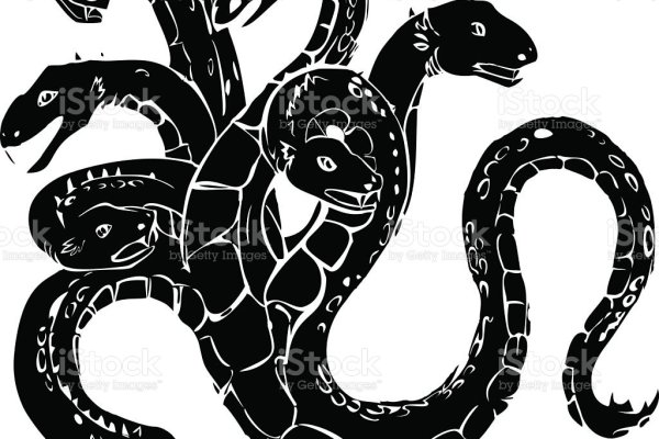 Kraken20at
