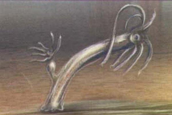 Кракен перейти