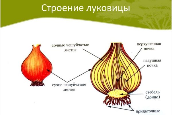 Как зайти на кракен с телефона андроид