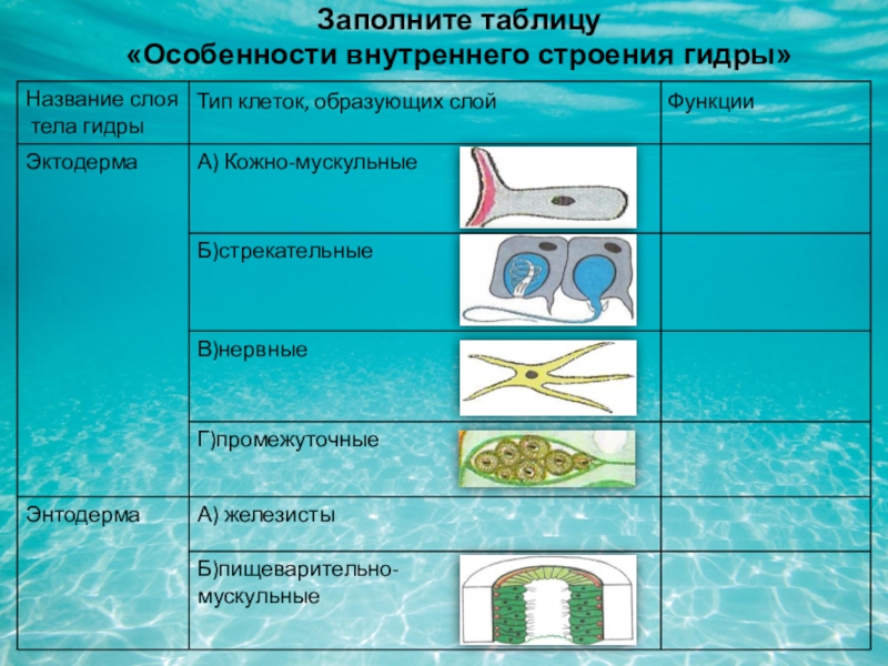 Сайт кракен зайти