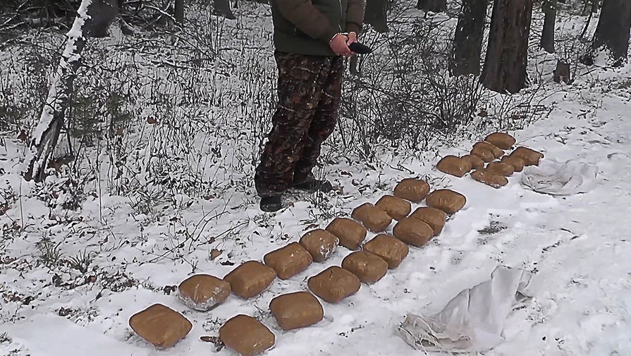 Кракен активная ссылка
