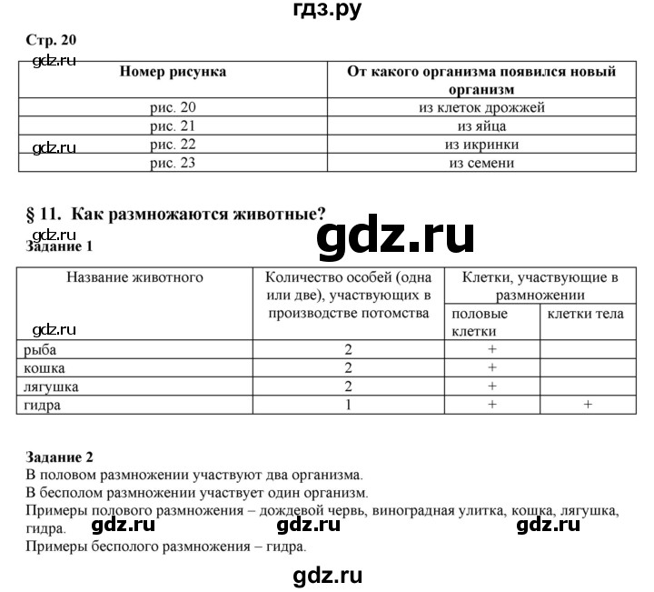 Кракен лег